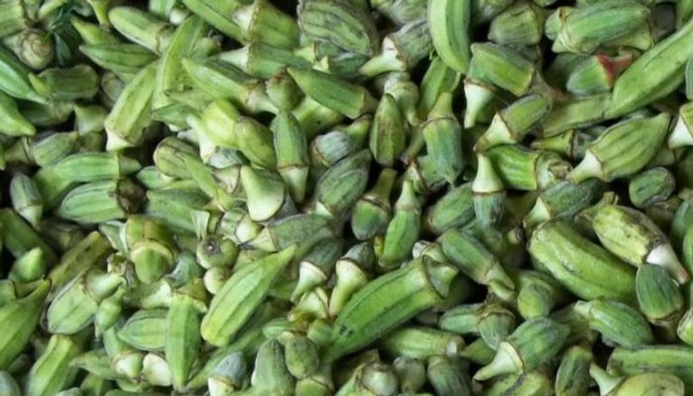 صورة مصغرة 4 للبامية المجمدة