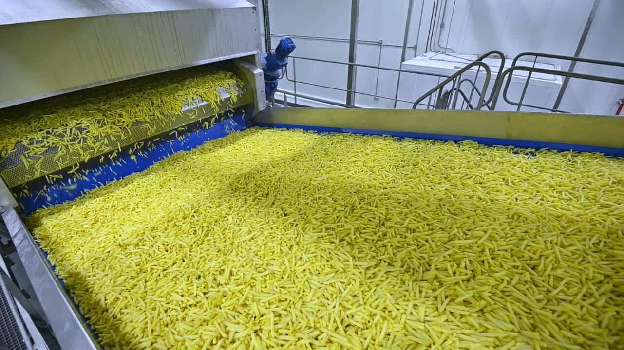 صورة البطاطس المجمدة الرئيسية