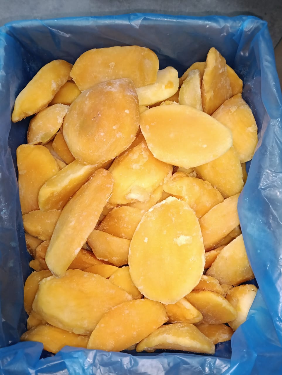 صورة مصغرة 5