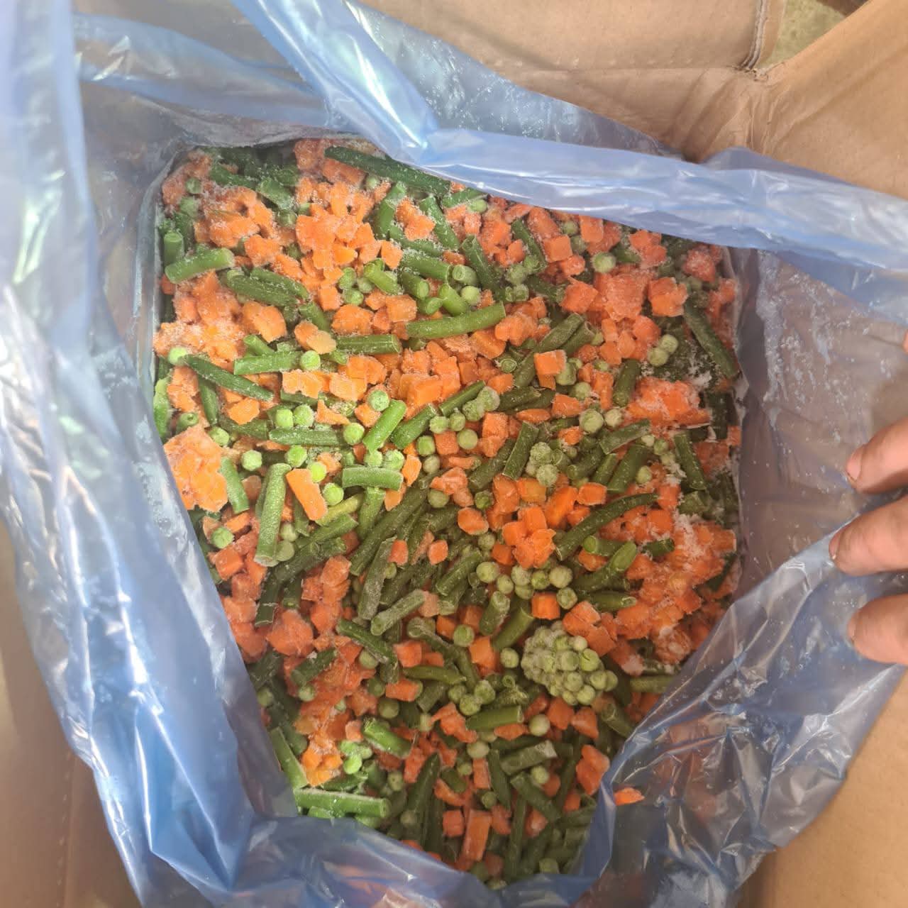 صورة مصغرة 4