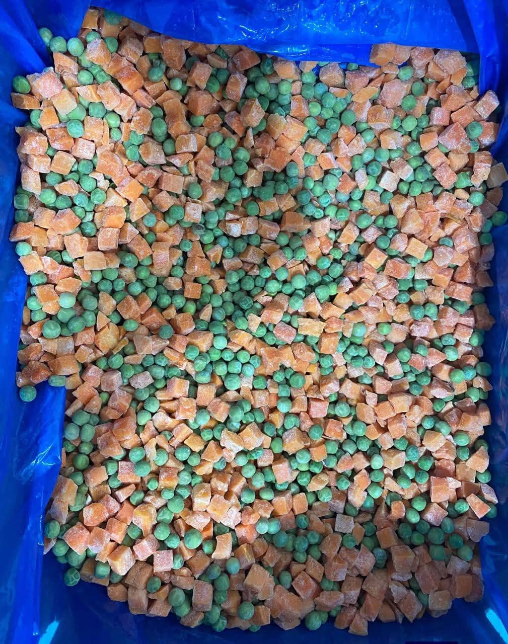 صورة مصغرة 2