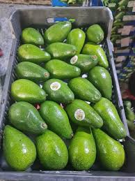 Fresh Avocado Thumbnail 3
