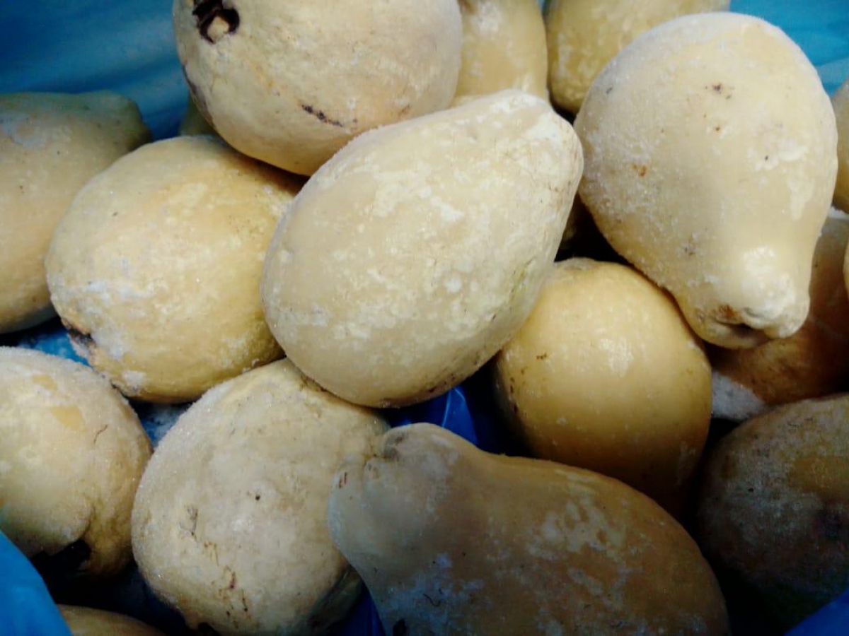 صورة الجوافة المجمدة الرئيسية